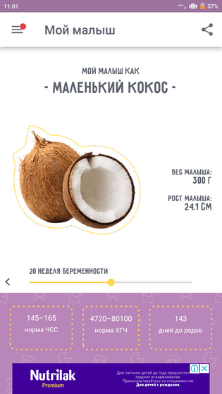 Как же быстро летит