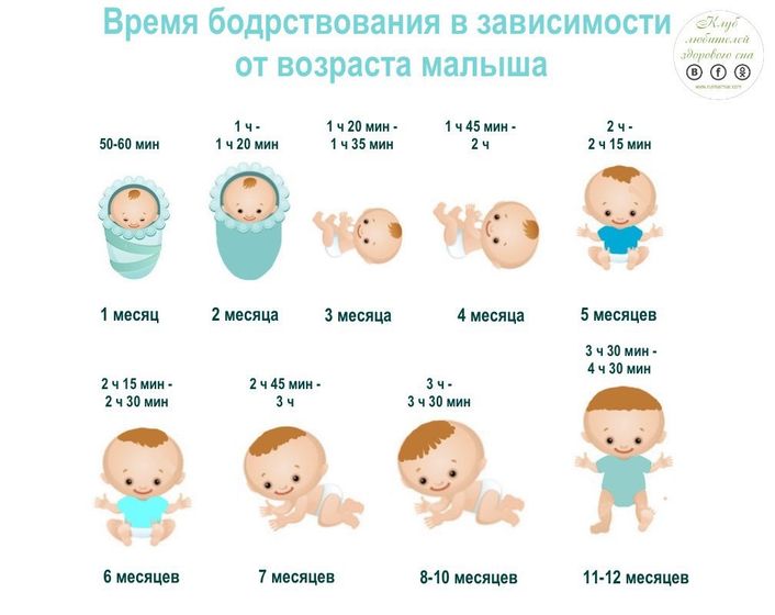 Сонное царство ?