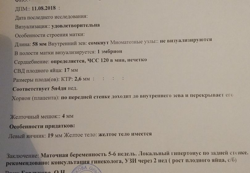 УЗИ