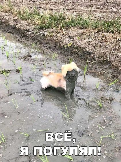 Всем приятного вечера?????
