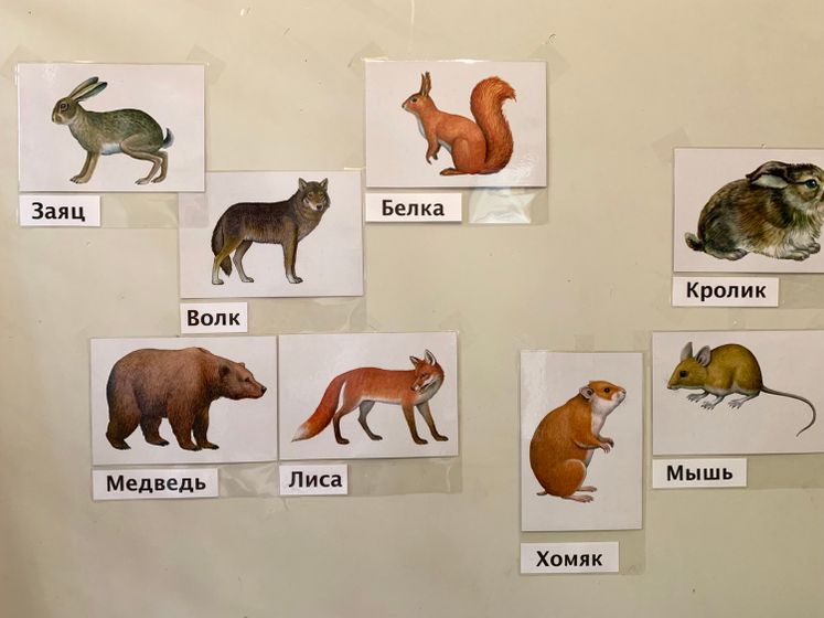Тематические карточки Ранок ????