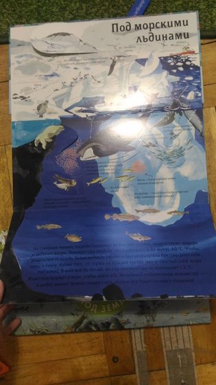Книжное пополнение
