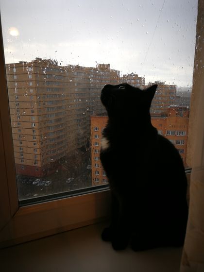 Хорошие новости) ❤