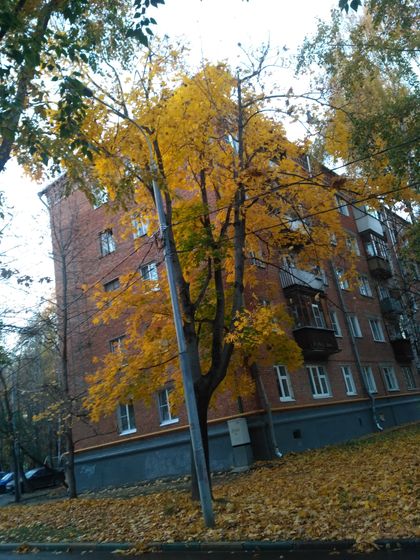 Наш выползон на сон грядущий????