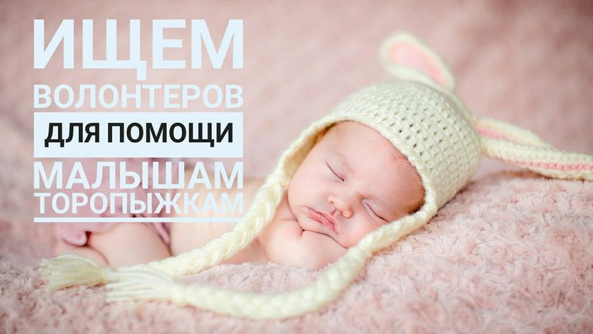 28 петель