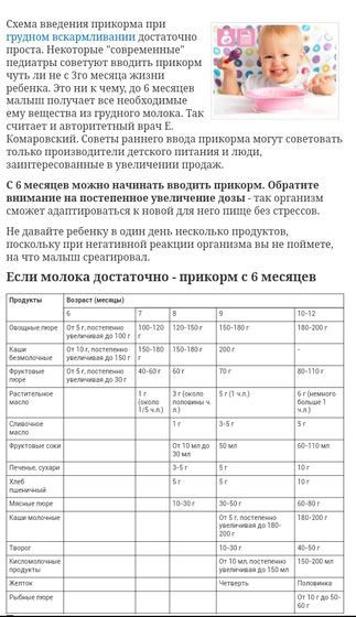 Про прикорм
