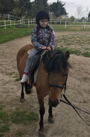 Лошадки 🐴😍🙏