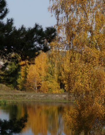 мое творчество. выкладываю для себя)