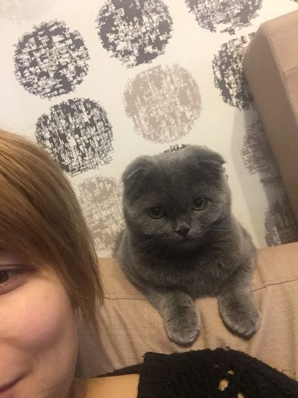 На ктг гипертонус матки,