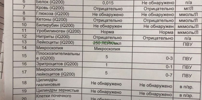 Лейкоциты