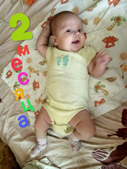 2 месяца ???