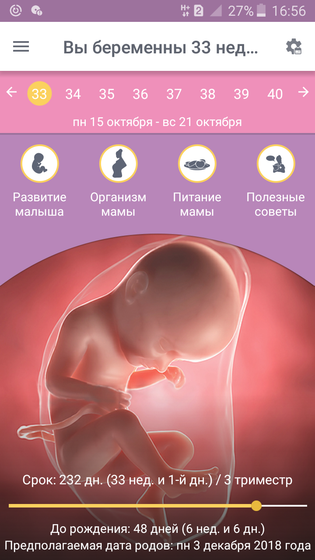 33 недели