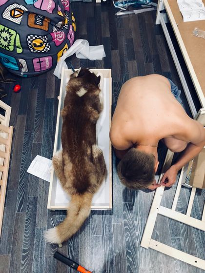 Муж собирал сегодня кроватку)))