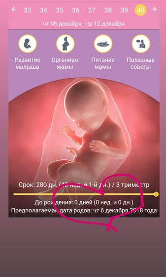 ПДР