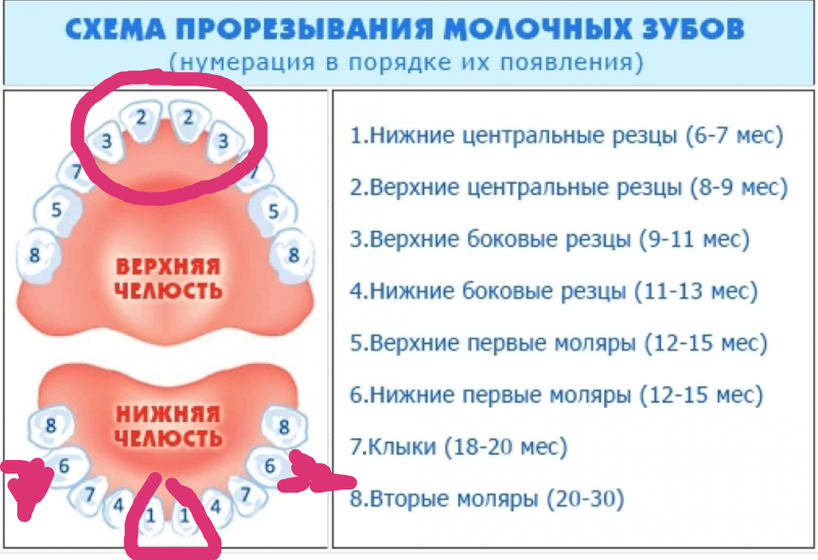 Ох уж эти зубы....