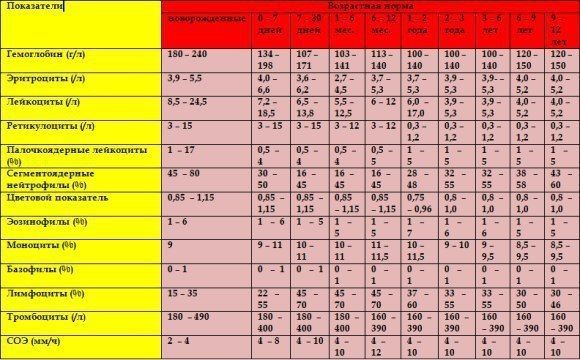 Шпаргалка?