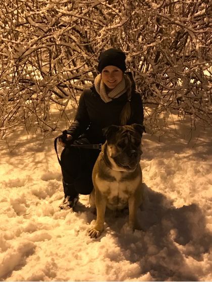 Про собаку.Продолжение.Грустно.