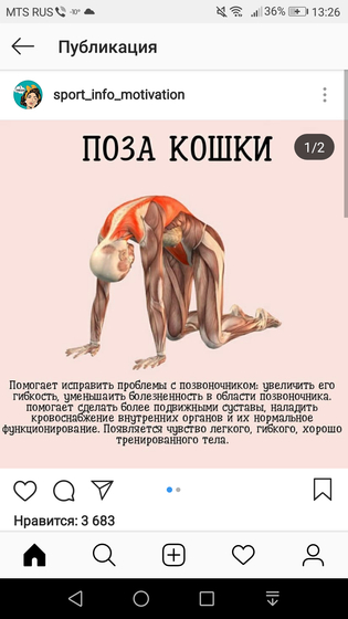 Когда болит спина.