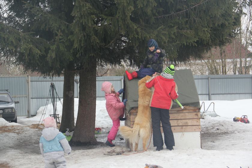 многофотопост
