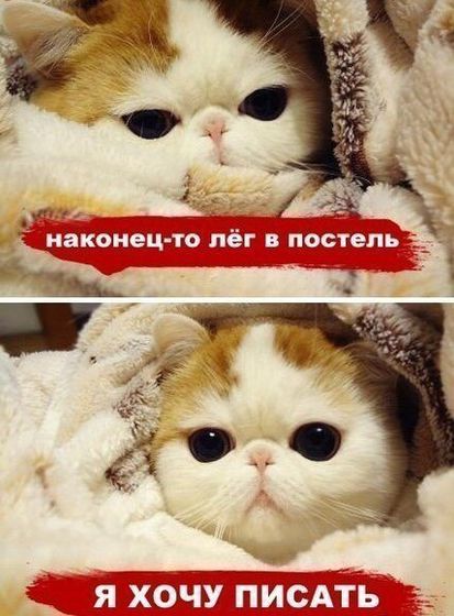 Для настроения 😊