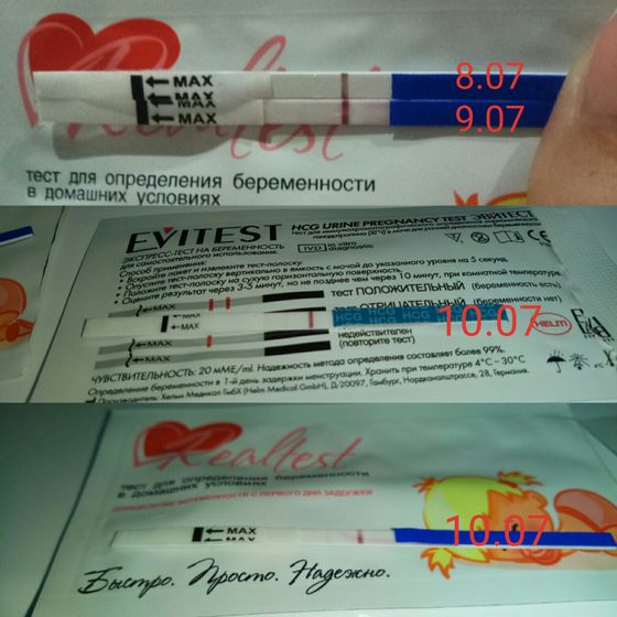 тестомания в динамике)