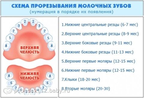 Ну ка зубы станьте в ряд!!!