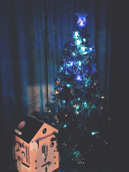 Наши дела☀️🎄