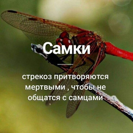 Как начать?...