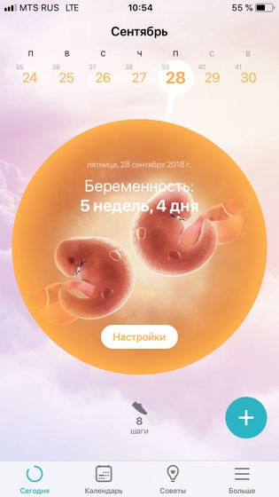 Приложение Flo