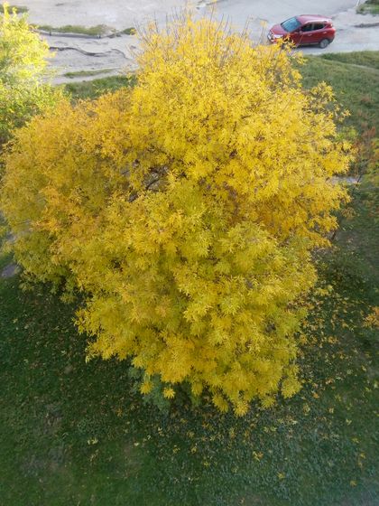 Осень🍂🍁🍵