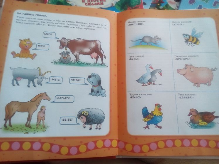 Занятия