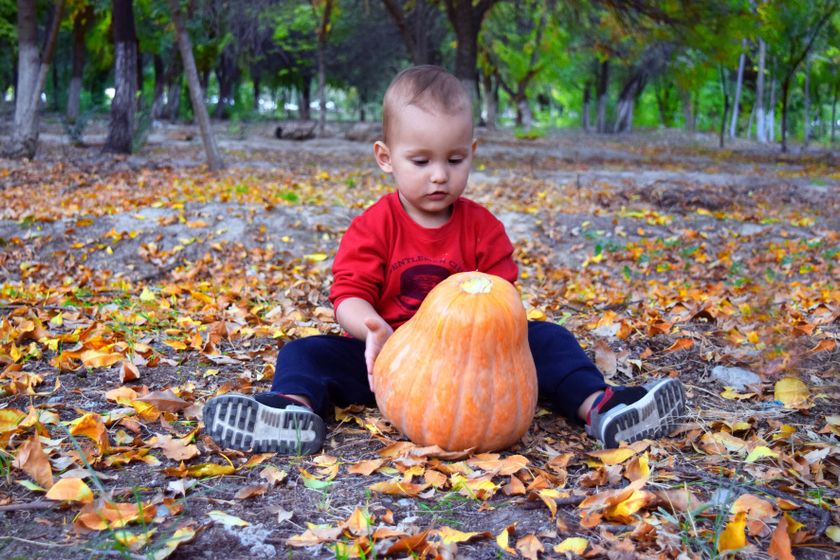 Немного нашей зеленой осени 🍂🍂🍂