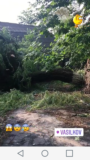 Повезло!