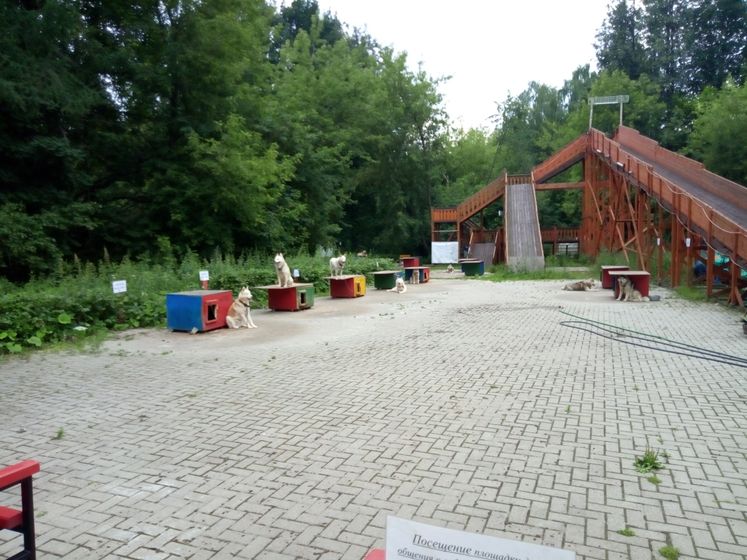 Отдых в Измайловском парке