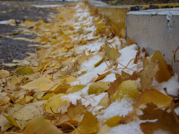 мое творчество. выкладываю для себя)
