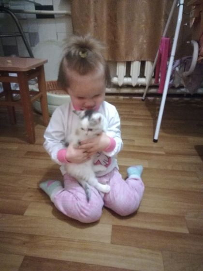 Жизнь у нее была