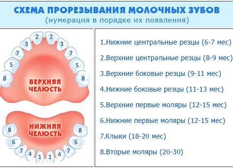 зубы, подскажите плиииз
