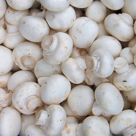 посоветуйте вкусное блюдо с шампиньонами?