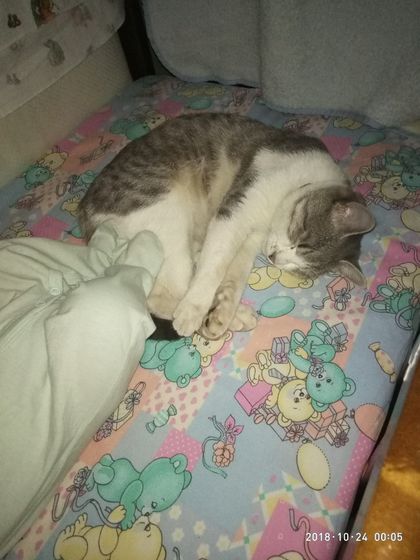 Это любовь)?