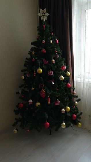 🌨️🎄😻