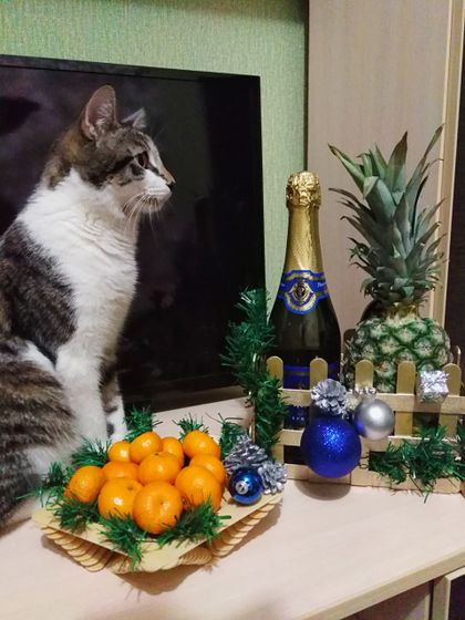 Мандаринки пошли в ход, значит скоро новый год)))