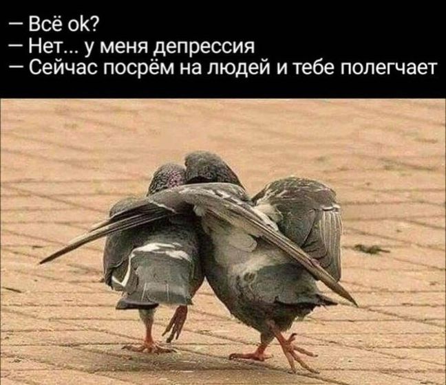 Фотография 2018-09-01 16:48:49