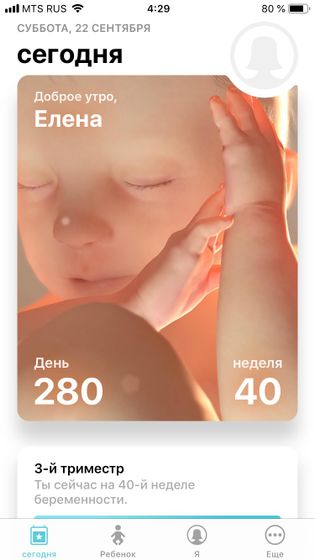 40 недель