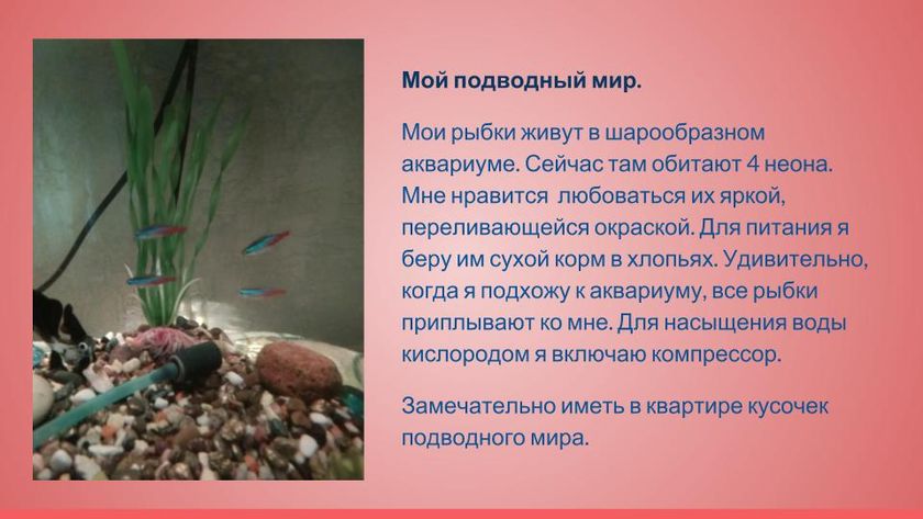 Презентация
