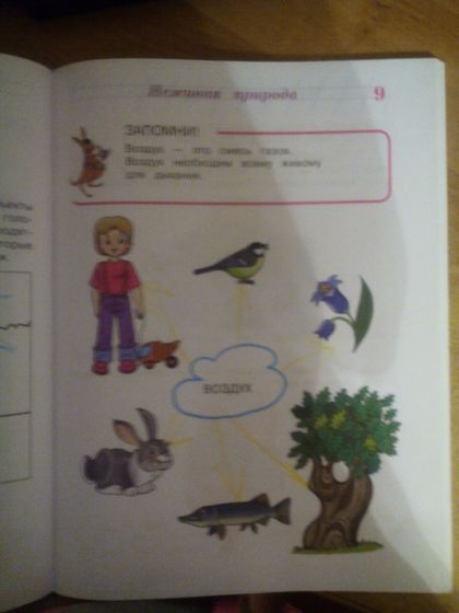 Наши занятия с Мирославом, 6 лет. Часть 2