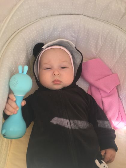 Подарили нам зайчика алило