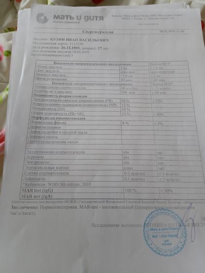 Спермаграмма перед эко