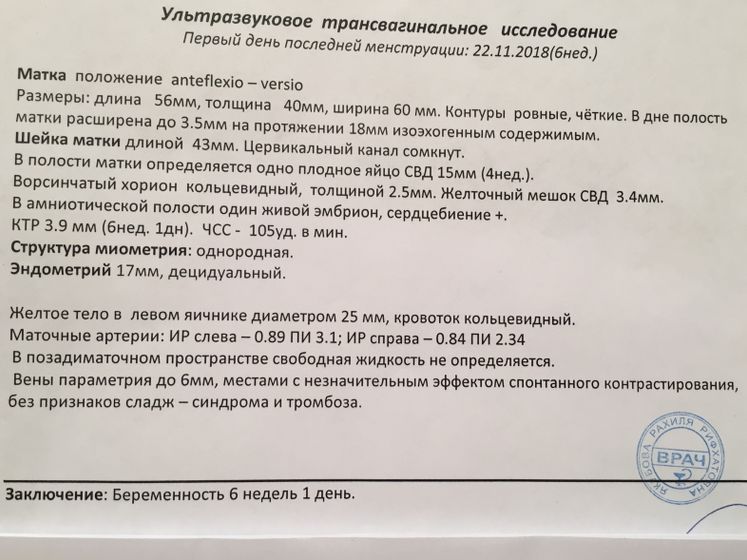 Приём гематолога + УЗИ