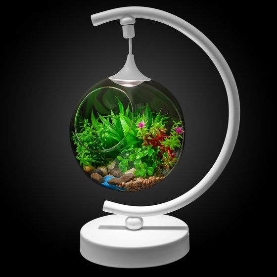 Светильник Apeyron . Есть отзывы ?