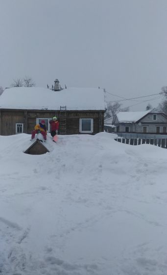 Убежали гулять